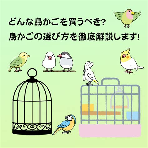 鳥籠|どんな鳥かごを買うべき？鳥かごの選び方を徹底解説。